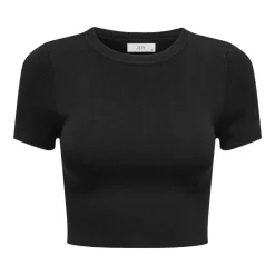 JDY Crop top moulant manches courtes Femme NOIR
