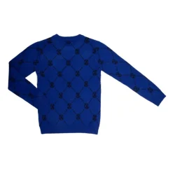 CXL BY CHRISTIAN LACROIX Pull imprimé carreaux avec rayures colorées Garçon BLEU Clearance