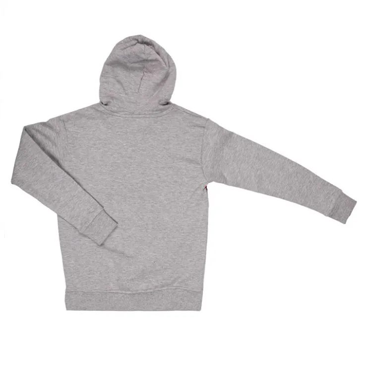 REDSKINS Sweat à capuche en coton logo brodé 8-16 ans Enfant GRIS Outlet