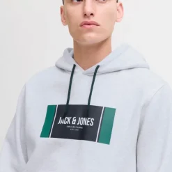 JACK & JONES Sweat à capuche regular hayato imprimé encart logo Homme GRIS CLAIR