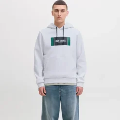 JACK & JONES Sweat à capuche regular hayato imprimé encart logo Homme GRIS CLAIR