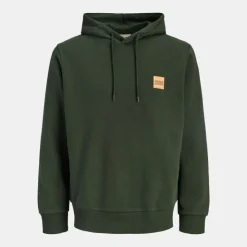 JACK & JONES Sweat à capuche sky captain brandy regular fit Homme VERT FONCE Best