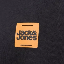 JACK & JONES Sweat à capuche sky captain brandy regular fit Homme NOIR Outlet