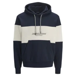 JACK & JONES Sweat à capuche sky captain Lakewood Homme BLEU FONCE