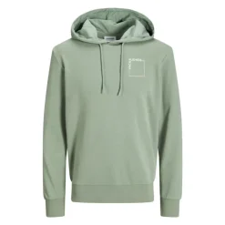 JACK & JONES Sweat capuche doux Verner coton Homme VERT CLAIR Outlet