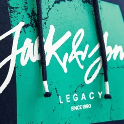 JACK & JONES Sweat coton tiley à capuche avec logo manuscrit et encart coloré Homme BLEU FONCE New