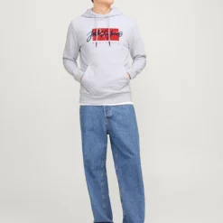 JACK & JONES Sweat gris chiné imprimé avec capuche tiley coton mélangé regular Homme GRIS CLAIR