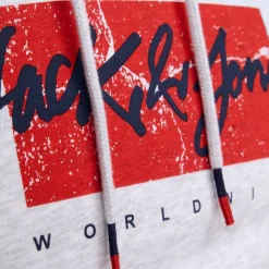 JACK & JONES Sweat gris chiné imprimé avec capuche tiley coton mélangé regular Homme GRIS CLAIR