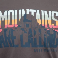 BEST MOUNTAIN Tee shirt ajusté Mountains are calling coton Homme GRIS FONCE New