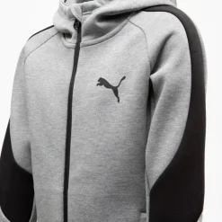 PUMA Veste a capuche evostripe Enfant GRIS
